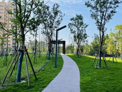 黄浦 浦东 普陀 宝山新建成一批街心花园和公园绿地,有你家附近的吗